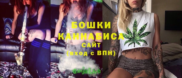 крисы Нея