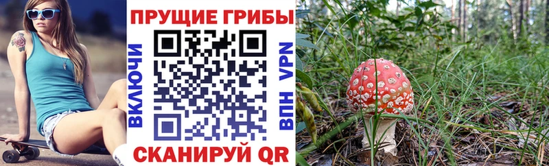 Псилоцибиновые грибы мицелий  Южно-Сухокумск 
